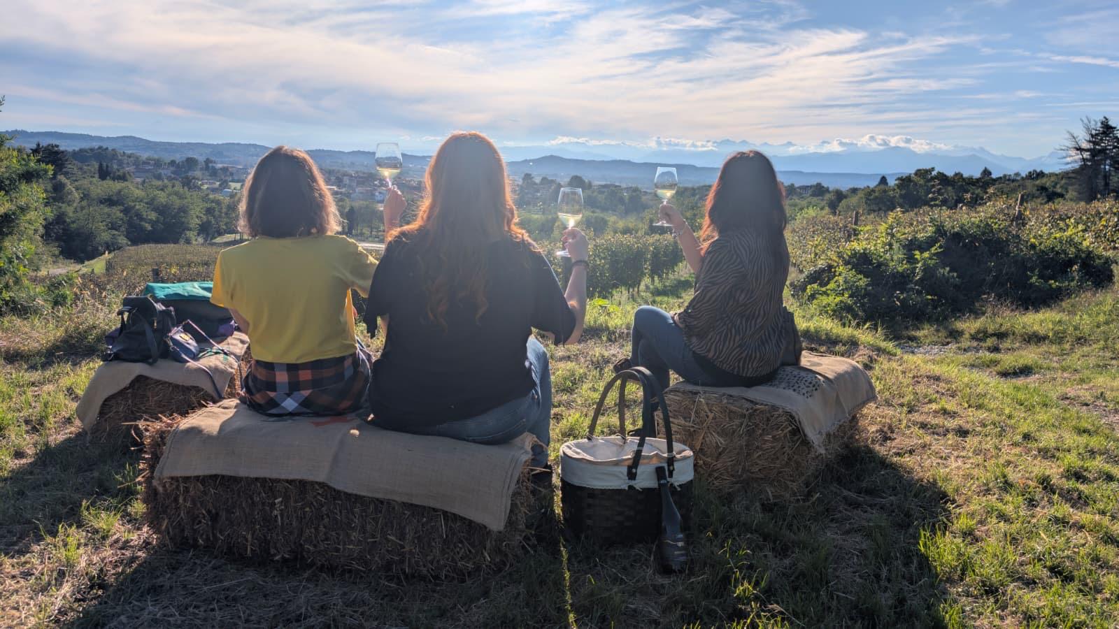 PIC-NIC IN VIGNA